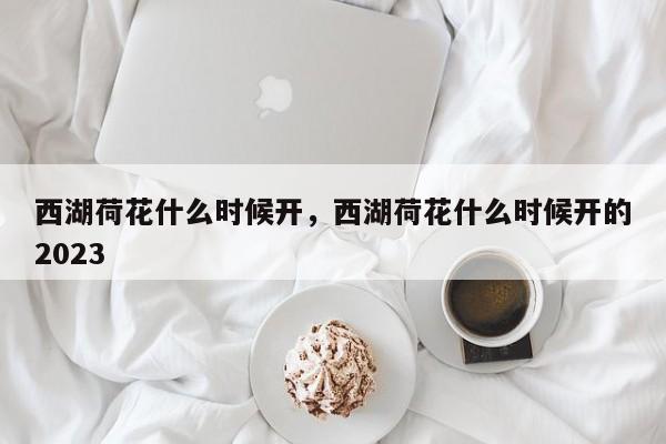 西湖荷花什么时候开，西湖荷花什么时候开的2023-第1张图片-傲风百科