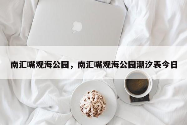 南汇嘴观海公园，南汇嘴观海公园潮汐表今日-第1张图片-傲风百科