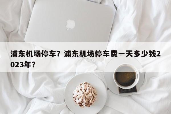 浦东机场停车？浦东机场停车费一天多少钱2023年？-第1张图片-傲风百科